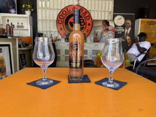 copyright jvyprod 2023 2026 pour Le meilleur planteur au monde - cool and bad de Maher Bade