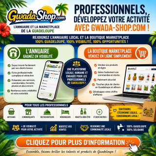 Professionnels développez votre activité avec Gwada-Shop.com !